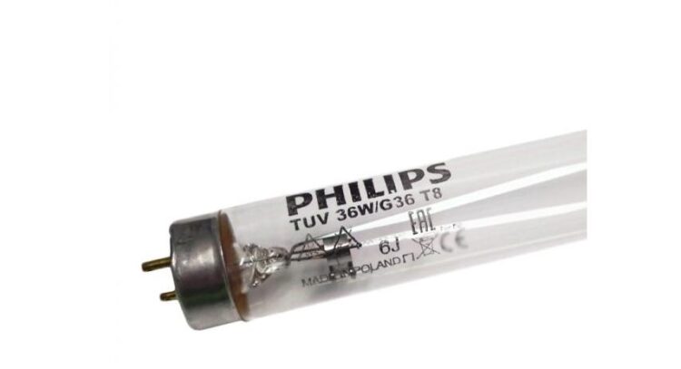 Bóng diệt khuẩn TUV 36W/G36 T8 Philips